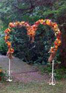 grapevine arch