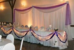 organza backdrop