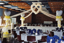 dance floor canopy