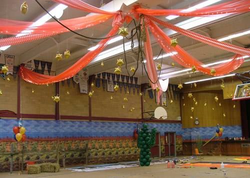 western theme ceiling decor